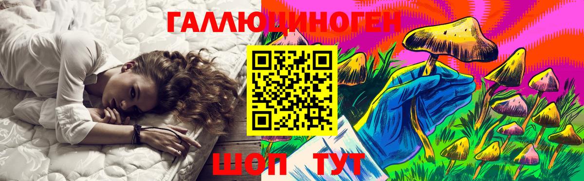 Бердск  Галлюциногенные грибы Cubensis  Вход с VPN  Псилоцибиновые грибы GOLDEN TEACHER 