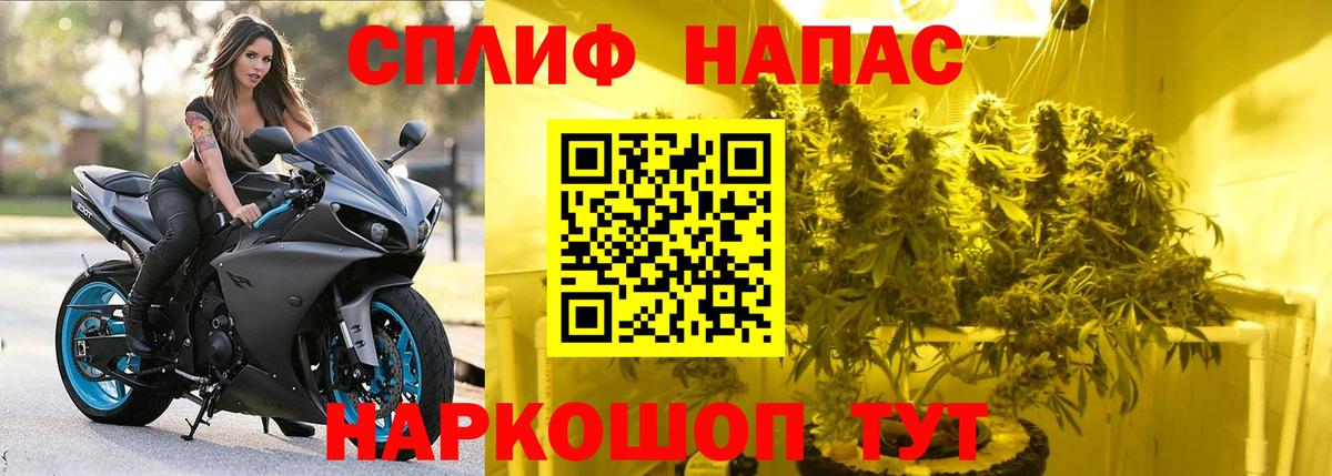 Бердск  Марихуана SATIVA & INDICA  Вход с VPN  Бошки марихуана семена 